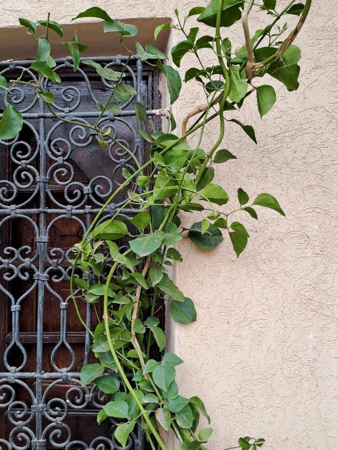 Riad Rime Garden Marrakech Lagouassem 外观 照片